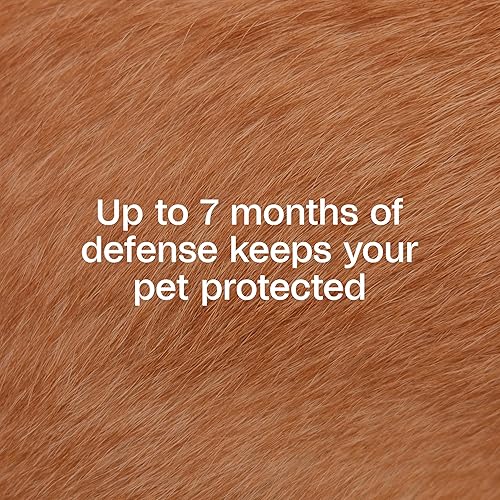 Miniatura 3 de Collar de pulgas y garrapatas Adams Plus, Perro, L, Azul