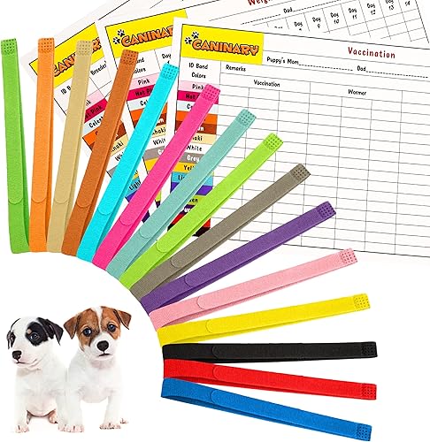 Caninary 15 collares de cachorros de diferentes colores para arena con 6 tablas de registro, collares ajustables para cachorros pequeños, sirven