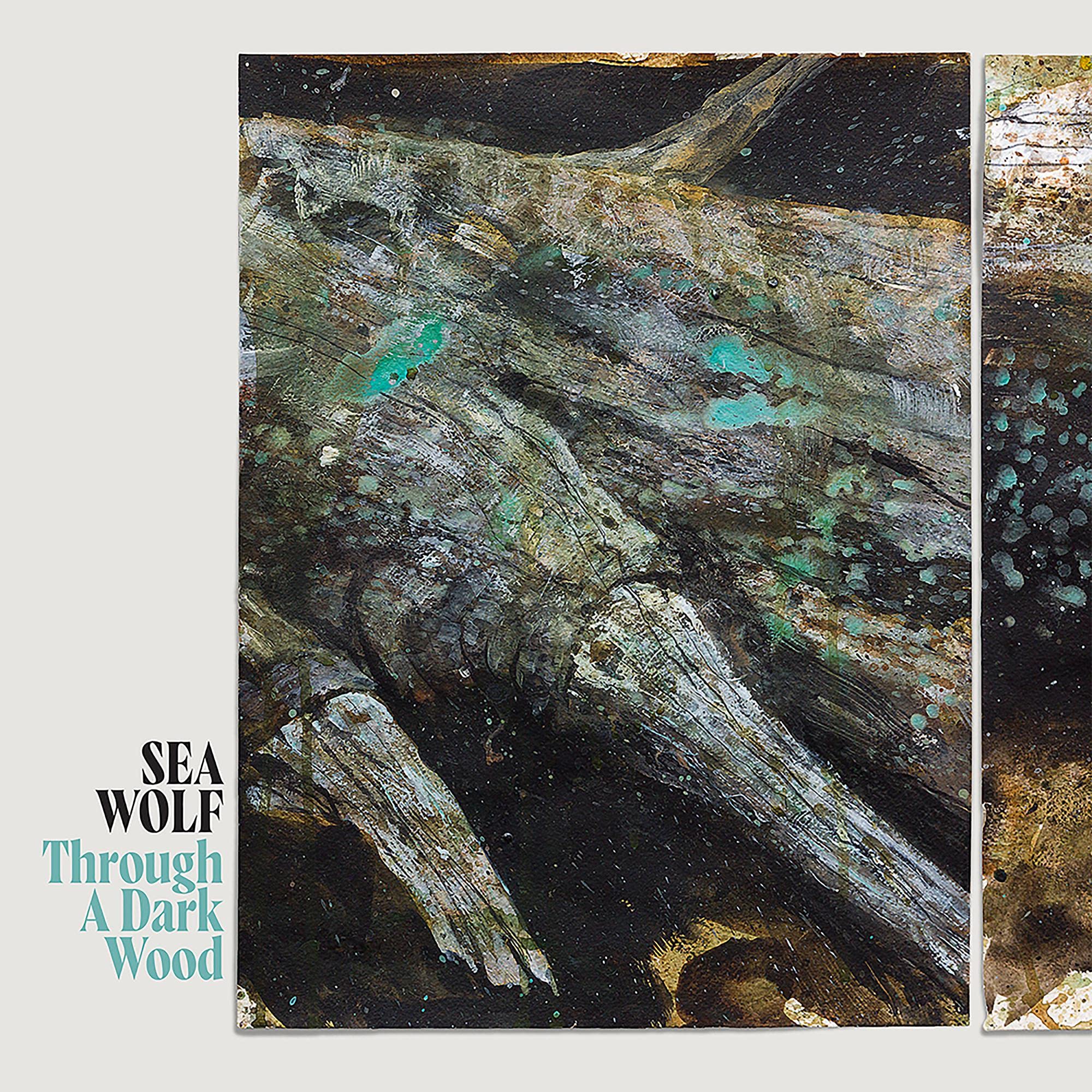 Through a Dark Wood [Deluxe Edition] by Sea Wolf (Record, 2022)