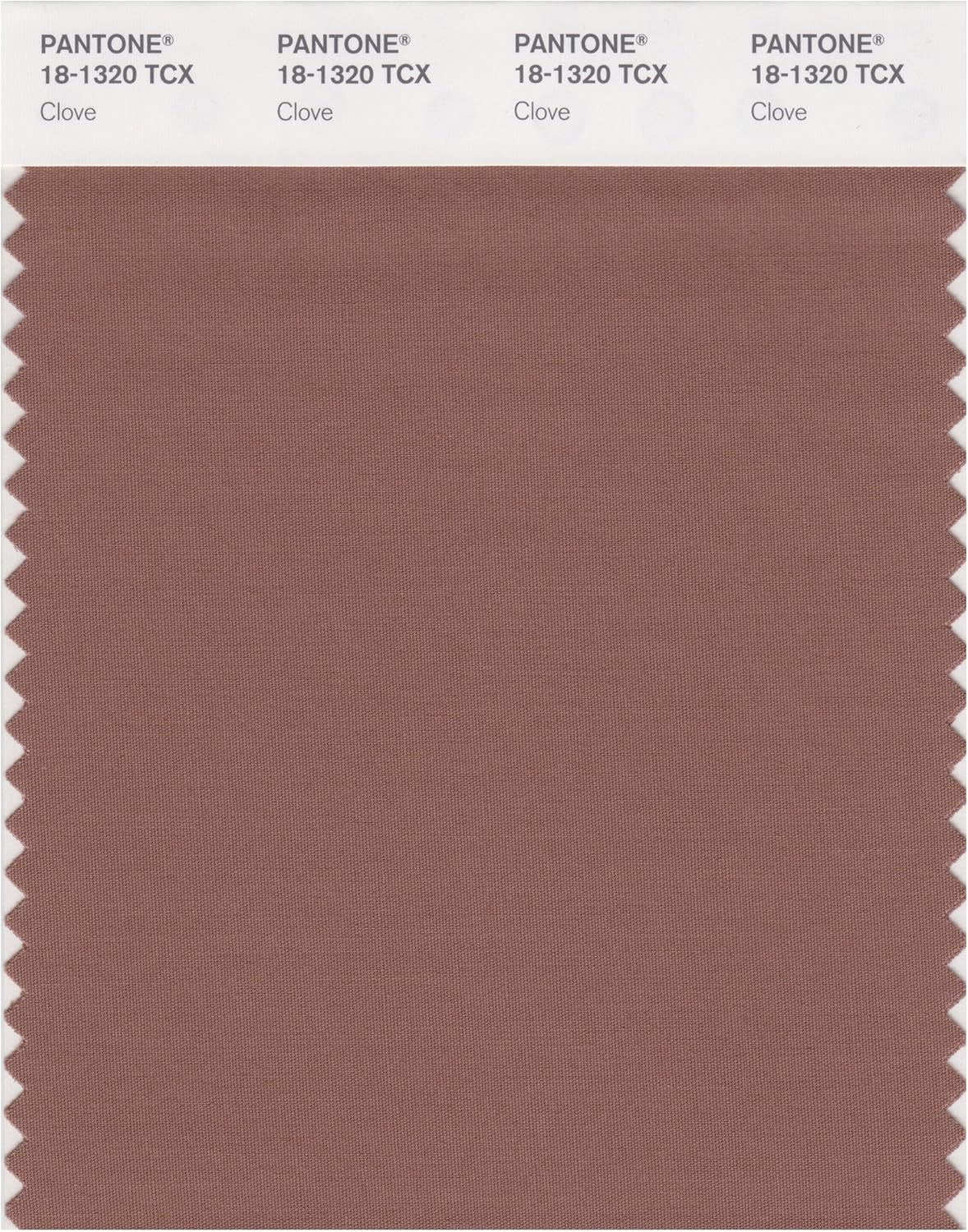 PANTONE Smart 18-1314X Color Swatch Card, Acorn