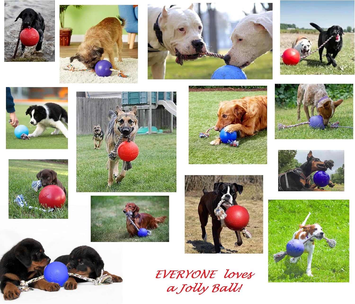 Floating Interactive Rope Dog Horse Toys Romp and Roll Dog Water Tug Non Deflatable Choose Size and Color (Purple - Medium)