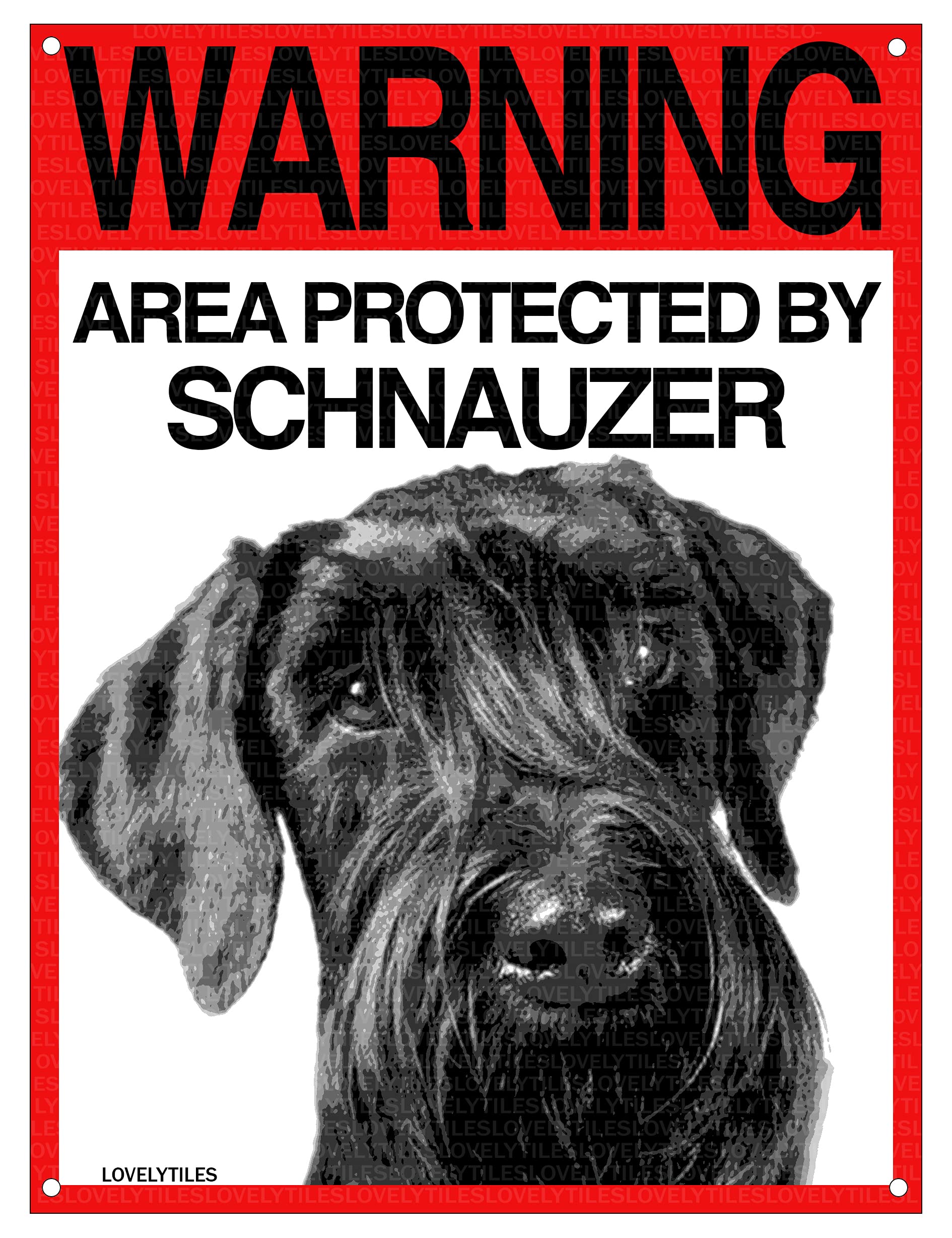 Danger BORDER COLLIE Zone - CARTELLO ATTENTI AL CANE In Adesivo Resist - 2