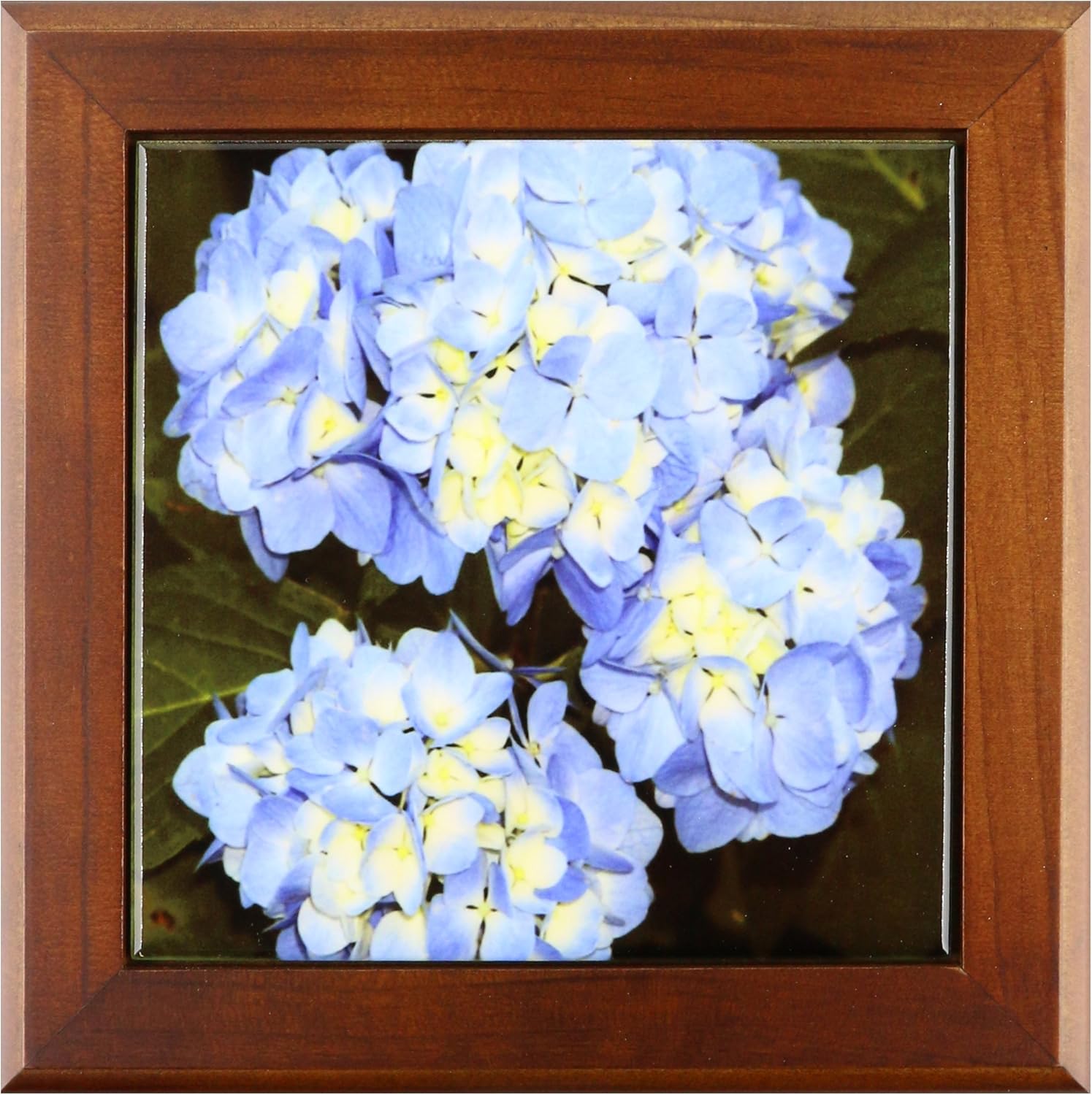 3dRose ft_21629_1 Blue and Yellow Hydrangea Clusters Framed Tile, 8 by 8-Inch