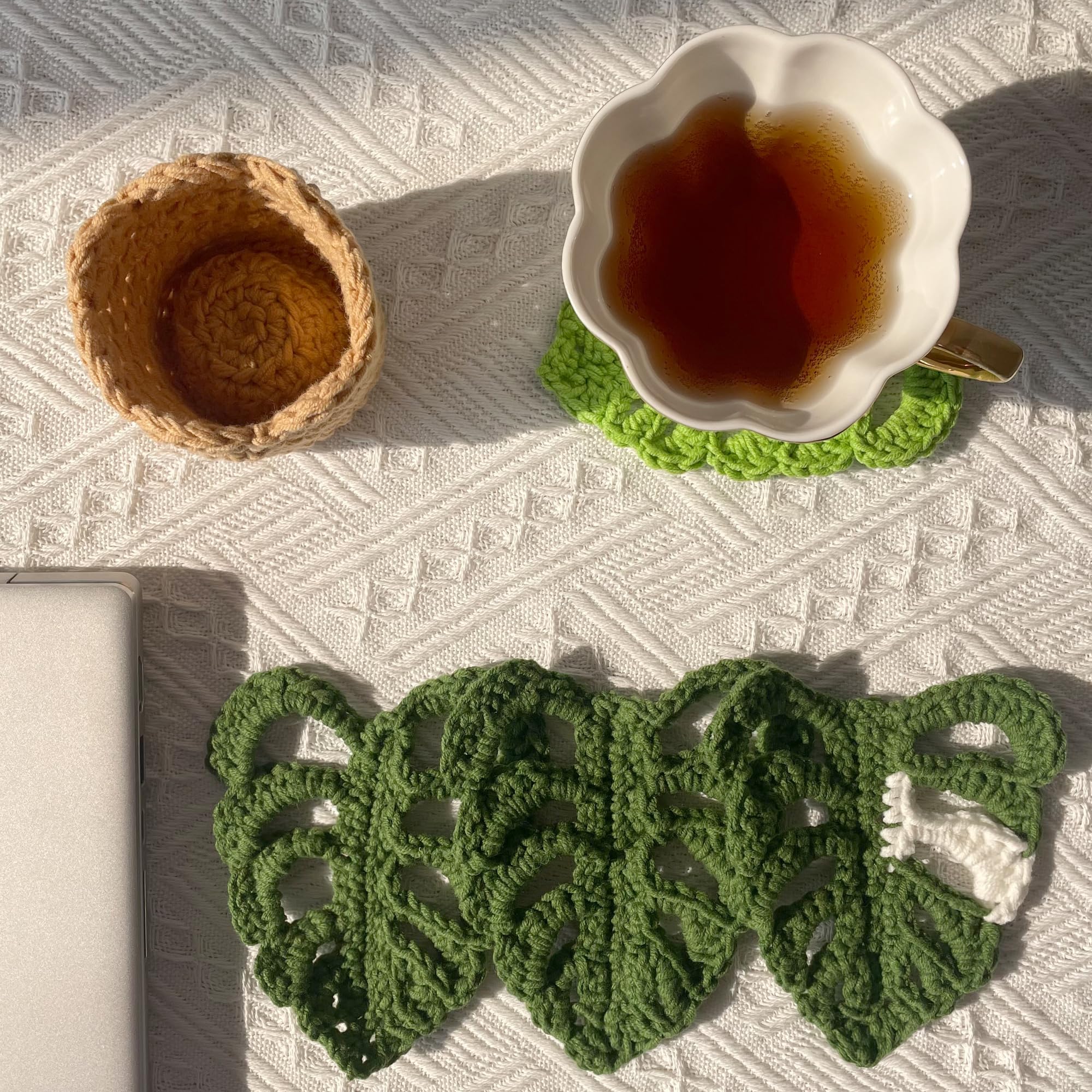 DICHA Monstera Crochet Coasters with Plant Pot-Container Beverage Coaster  Sets with Holder Bar Coasters for Drinks Coffee Table Desk-Succulent Plant  Pot Coaster-Set of 5: Buy Online at Best Price in UAE -