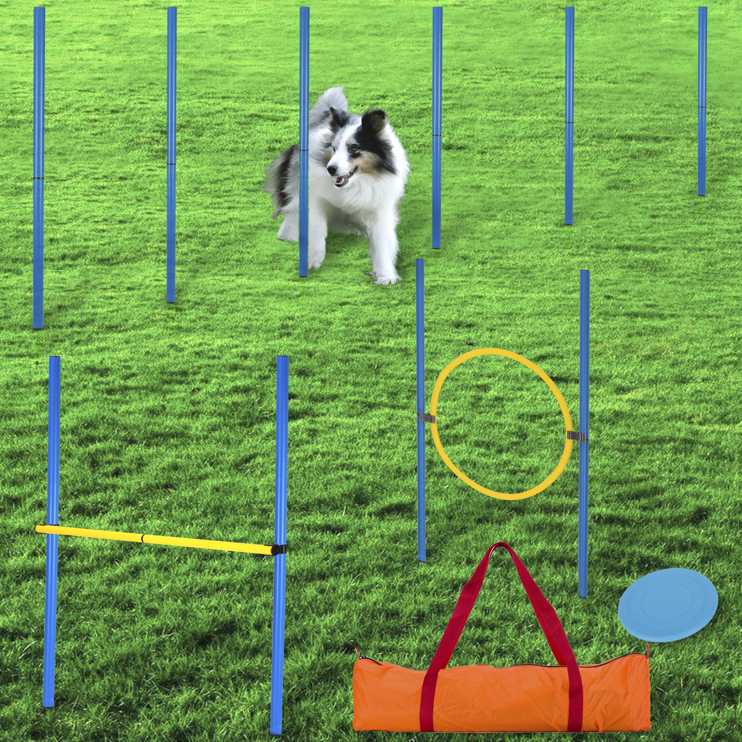 Slalom Stangen mit 2 Hürde + 1 Ring - blau/gelb - Slalomstangen/Hindernis/Sprungring – Agility Set für Hunde – Hundetraining Zubehör – Fußball Traininigsset - Plus: Frisbee