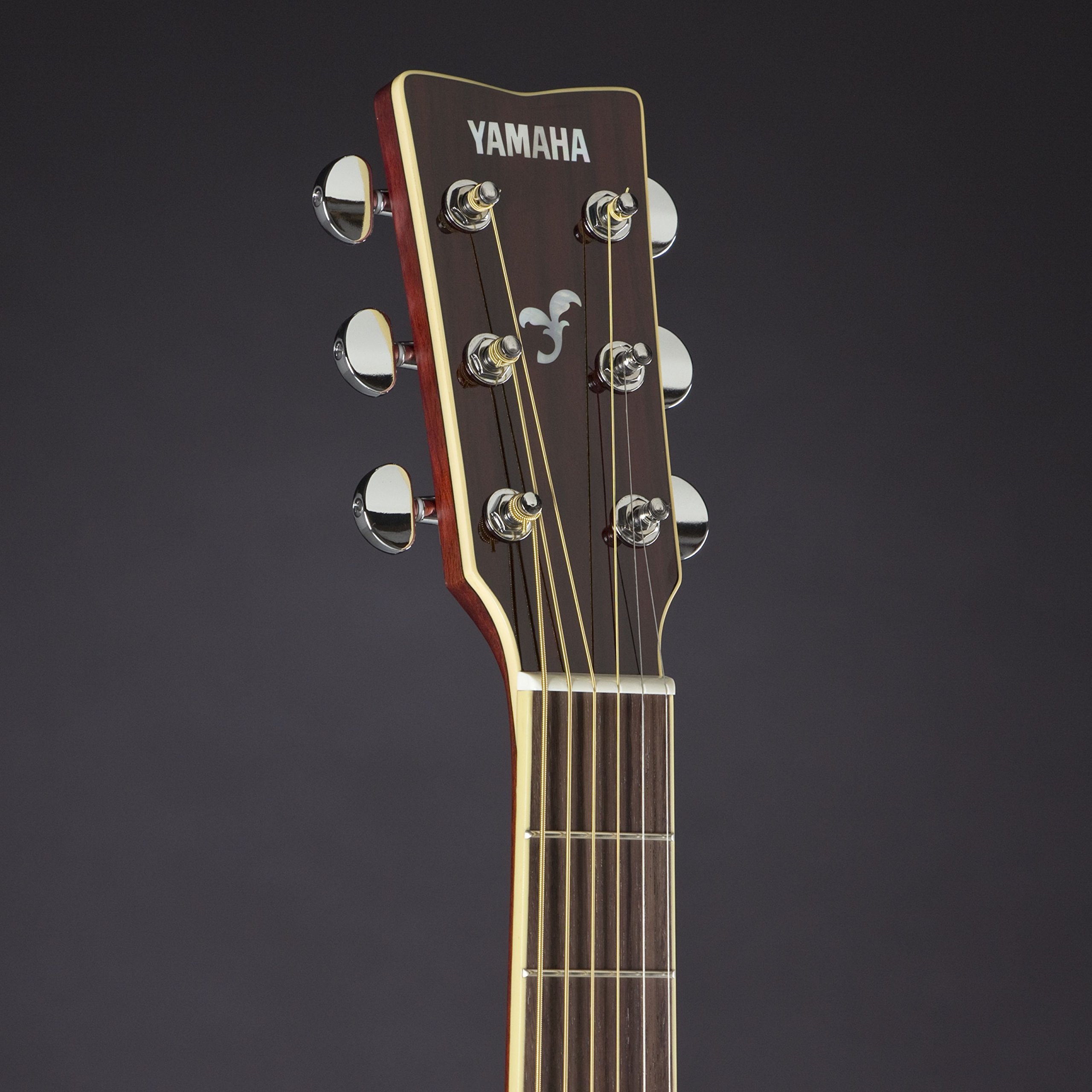 Amazon.co.jp: ヤマハ YAMAHA アコースティックギター FG SERIES