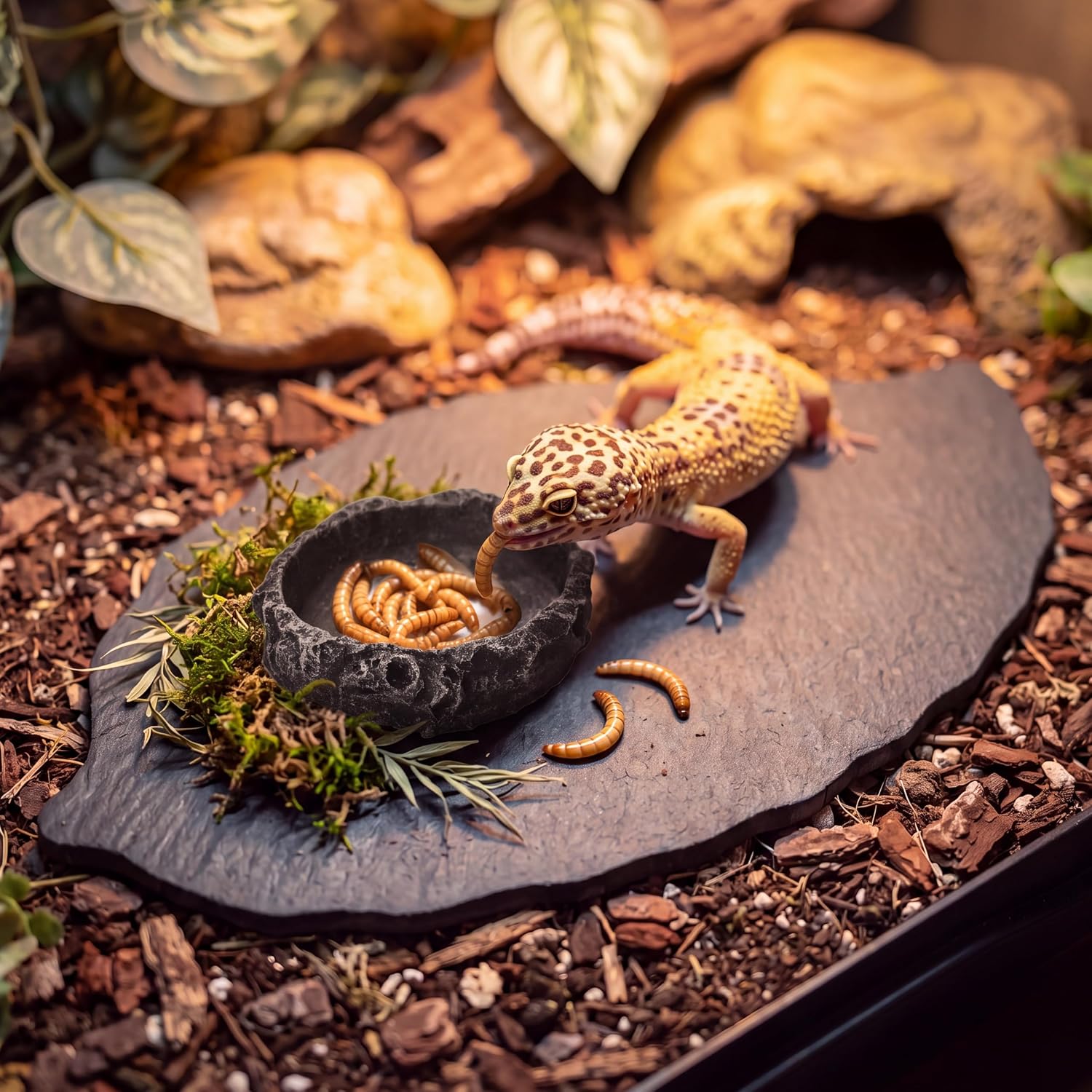 11x5.5'' Slate Reptile Platform, Bathing Resting Feeding Rock