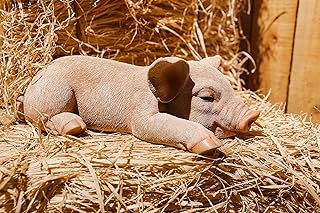 Hi- Line Gift 87686-A Pig Sleeping Statue