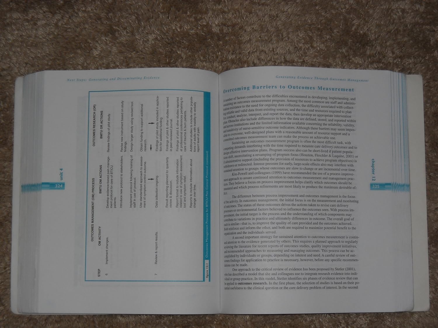 Evidence-Based Practice in Nursing and Healthcare: A Guide to Best Practice