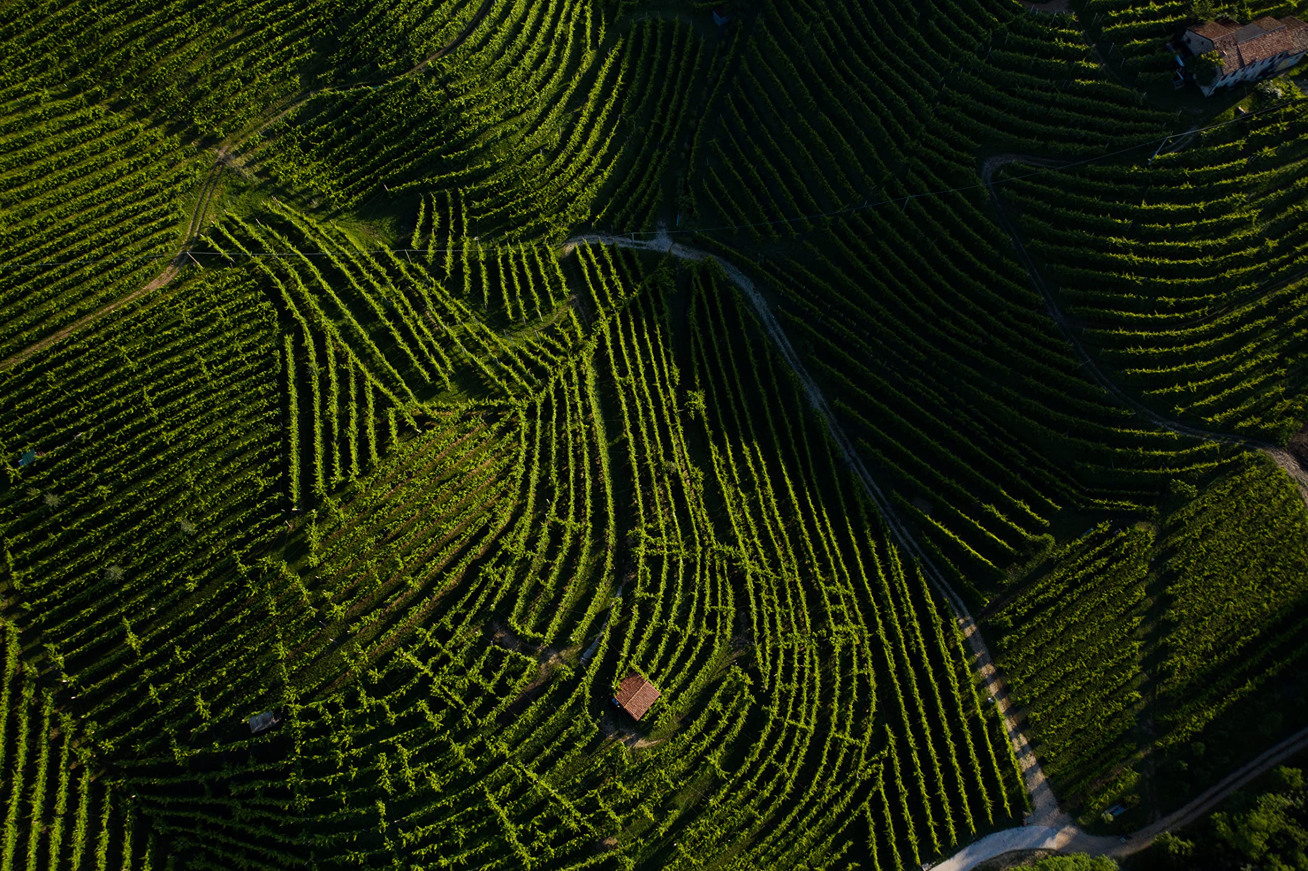 VALDO Oro Puro Prosecco Valdobbiadene Docg Cartizze Cl.75 Vino Italiano