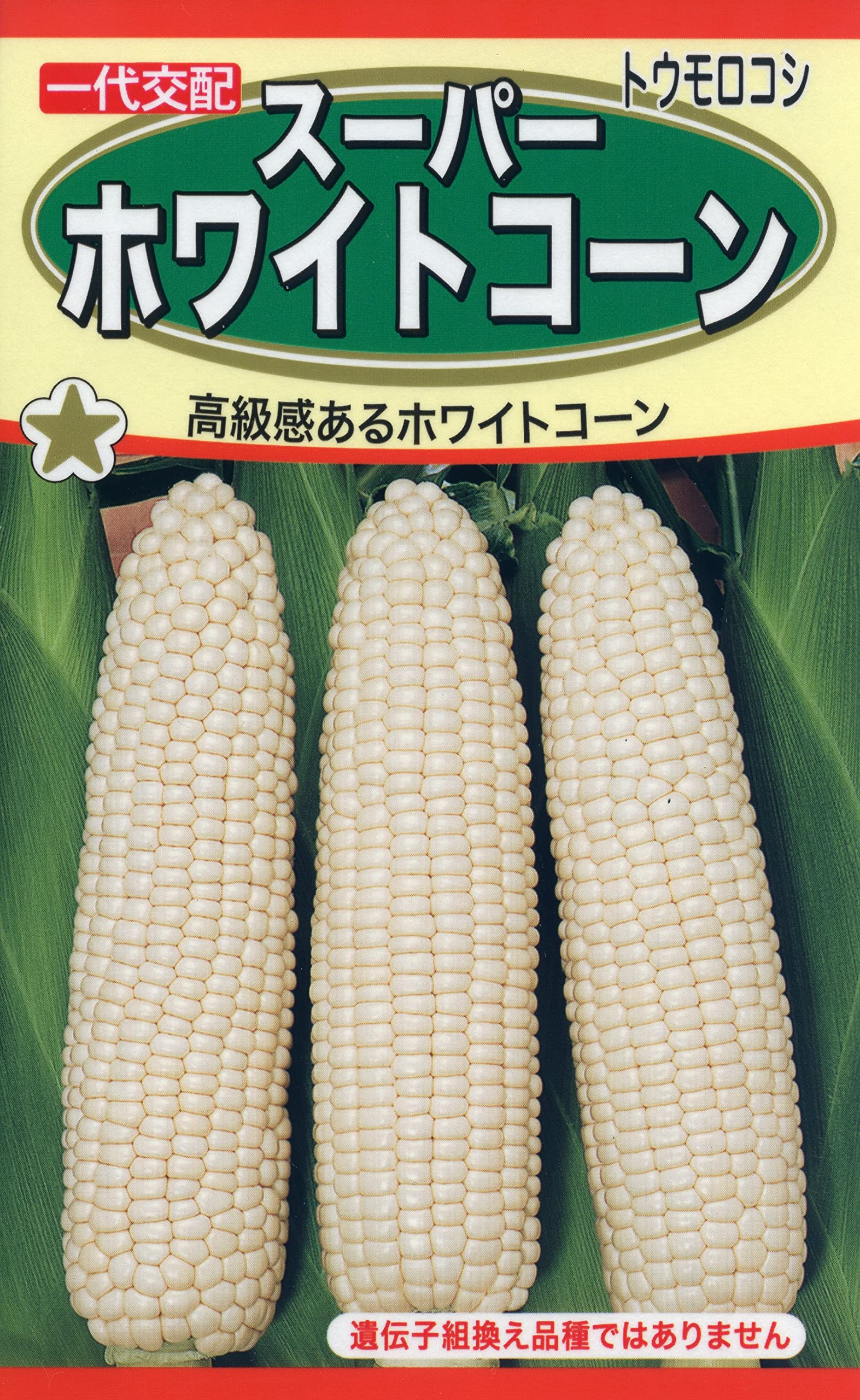トウモロコシ出品 3袋以上でクーポン割引 ミルキーシュガー80 種 70粒 とうもろこし