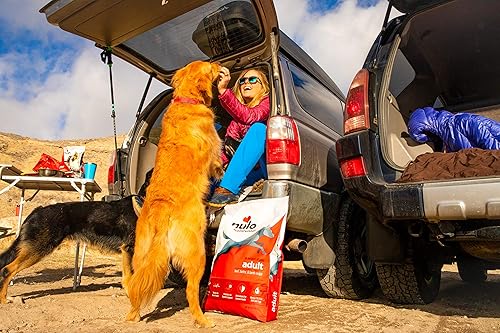 Miniatura 4 de Nulo Frontrunner - Alimento seco para perros adultos  Receta inclusiva de granos con carne de res, cebada y cordero  Todos los alimentos naturales