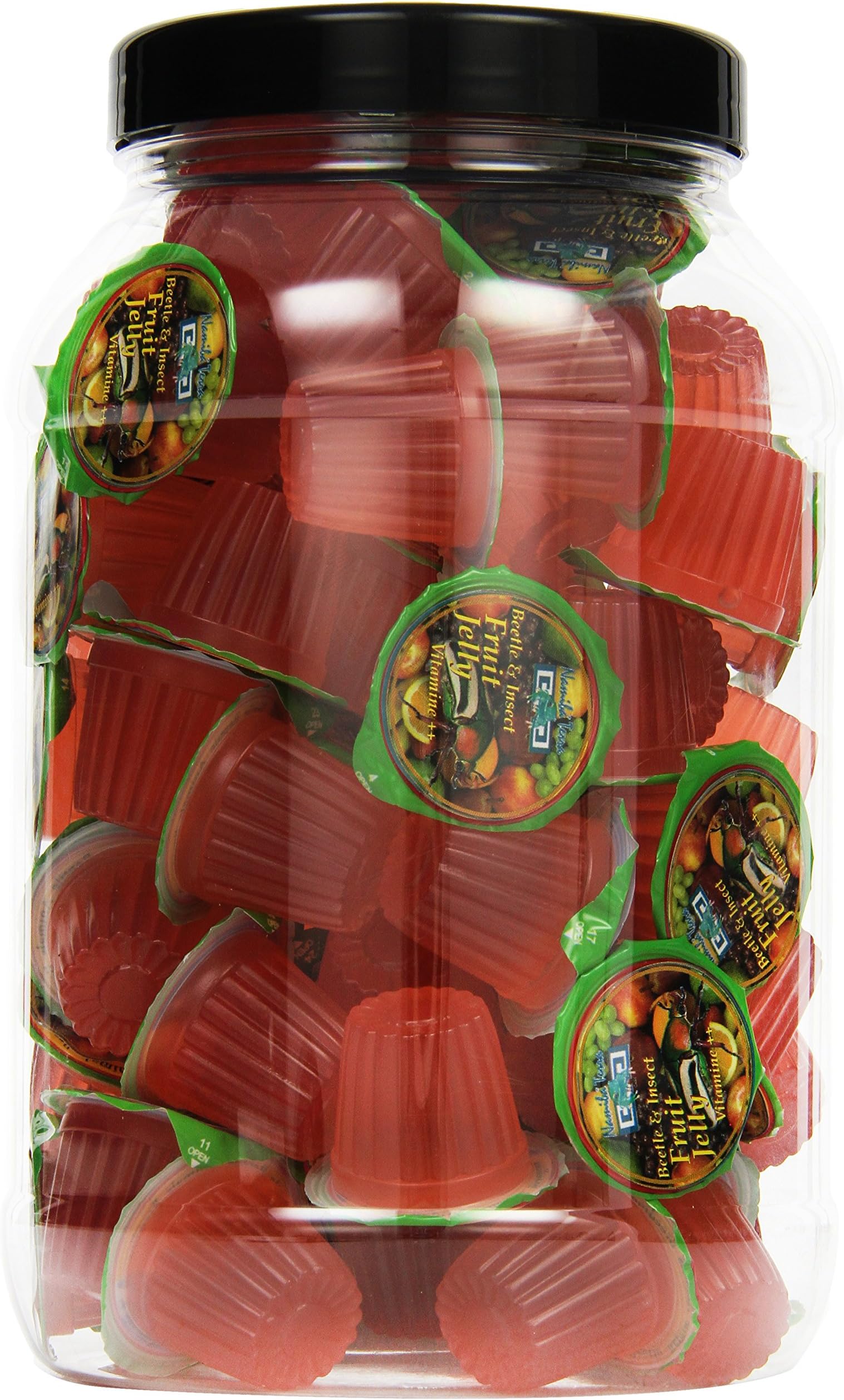 Namiba Terra 0319 Beetle and Insect Vitamin Fruit Jelly Counter Display, Pack of 75 Cookie barbox