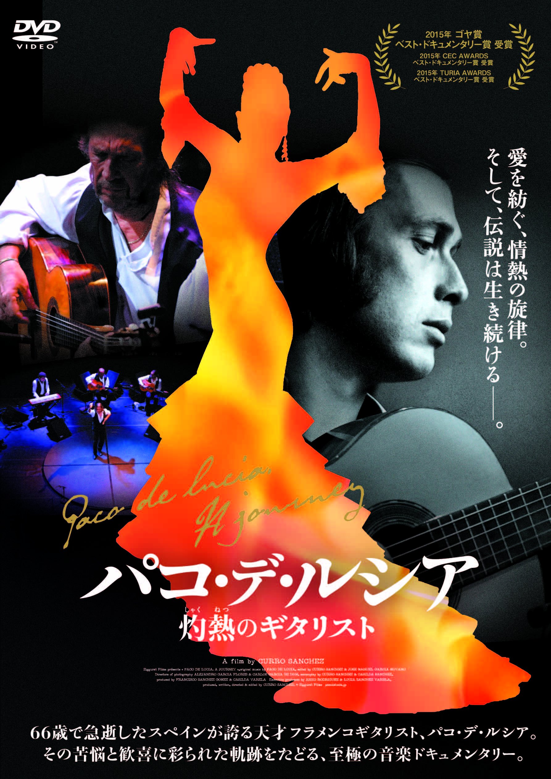 昭和レトロ★ギター フラメンコ 炎のギタリスト パコ・デ・ルシア CDアルバム 昭和レトロ☆ギター フラメンコ 炎のギタリスト パコ・デ
