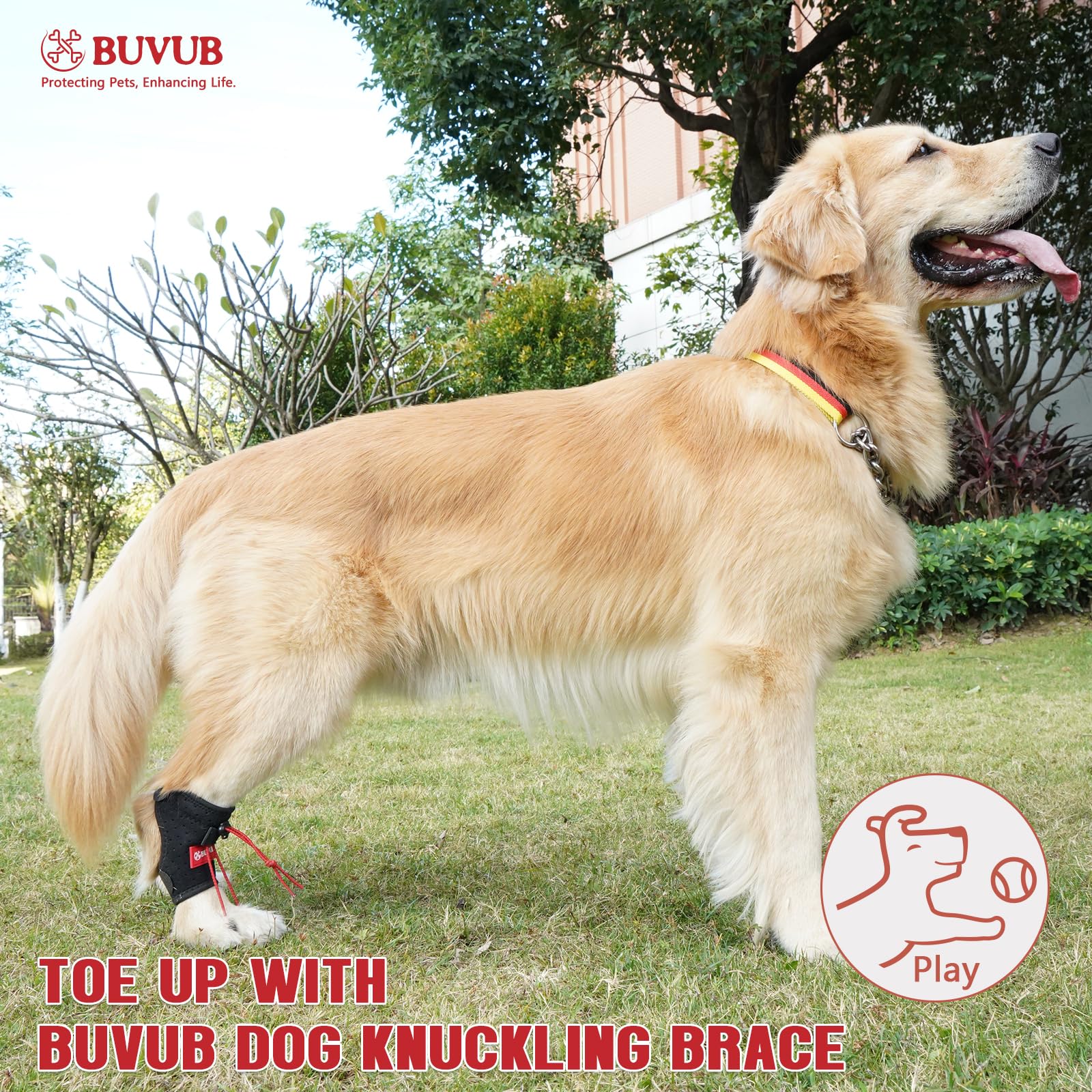 Amazon.co.jp: BUVUB 犬 イヌ ナックリング ブレース 前足 後足 犬 足