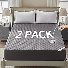 2 Pack Waterproof Mattress Protector, Queen Size Mattress Pad Noiseless with Deep Pocket Fitted for 6"-18", Soft Breathable Dirt-Proof Bed Mattress Cover Washable for Home, Bedroom, Hotel (Gray)