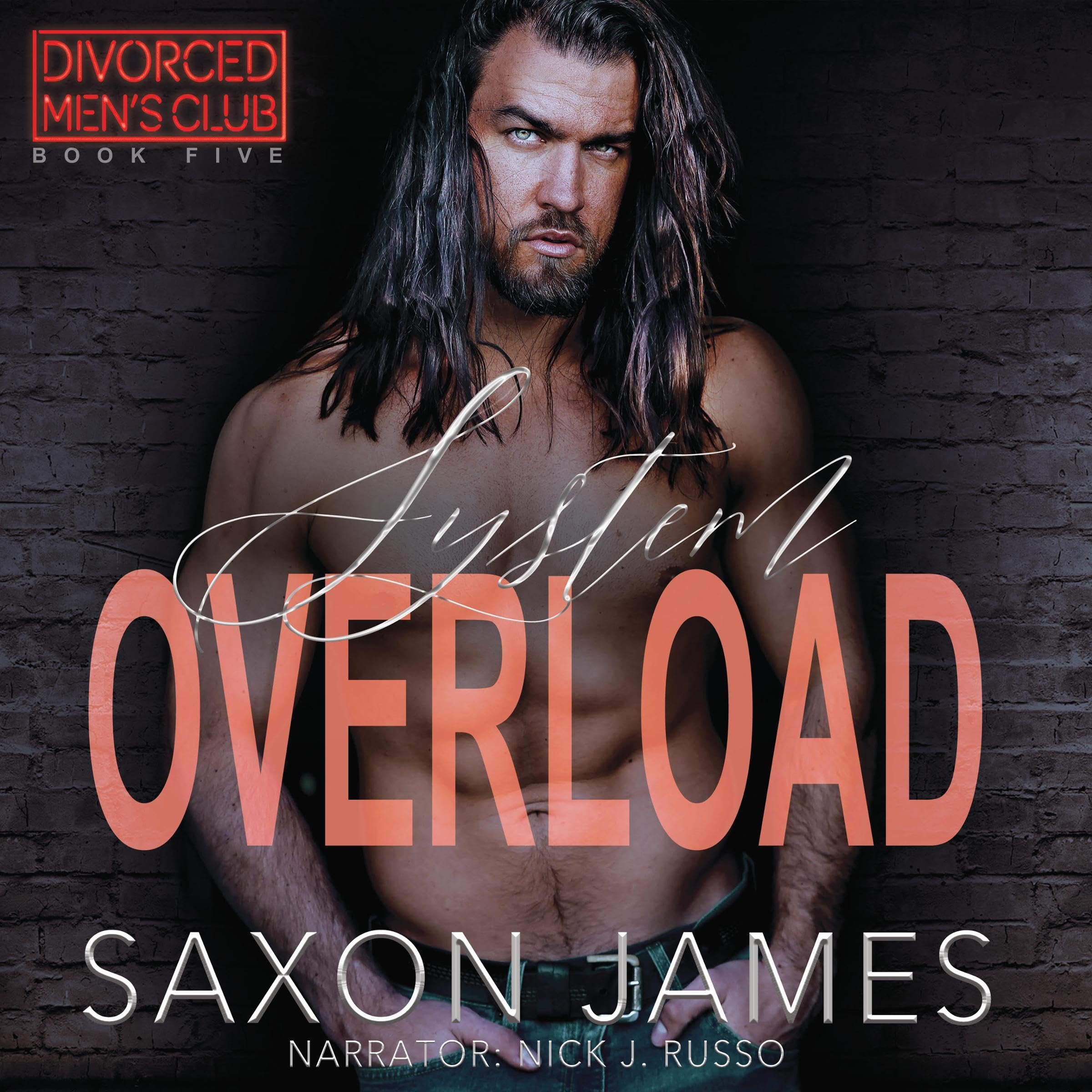 Cover art for System Overload