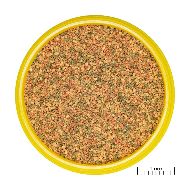 Foto 6 de 6 de JBL PRONOVO BEL Grano, alimento Principal para Todos los Peces de Acuario de 3-5 cm