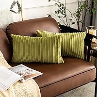 Vista 73 de UGASA - Juego de 2 fundas de almohada de terciopelo a rayas, funda decorativa para cojín con cremallera oculta para el hogar, sofá, dormitorio