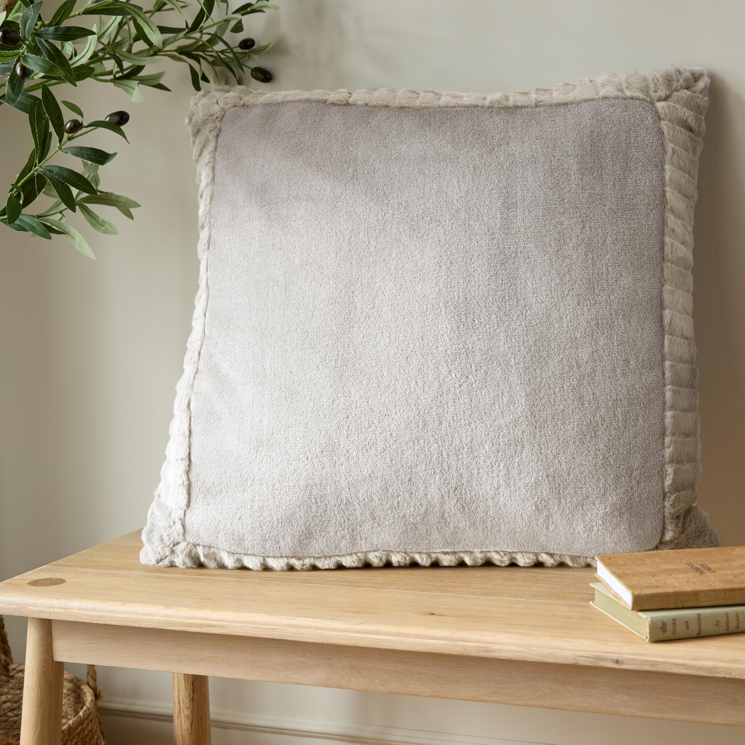 Catherine Lansfield Unisex Natural 'Velvet & Faux Fur' 55X55cm Cushion In | Size: 55Cm X 55Cm