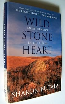 Wild Stone Heart An Apprentice in the Fields A Phyllis Bruce book