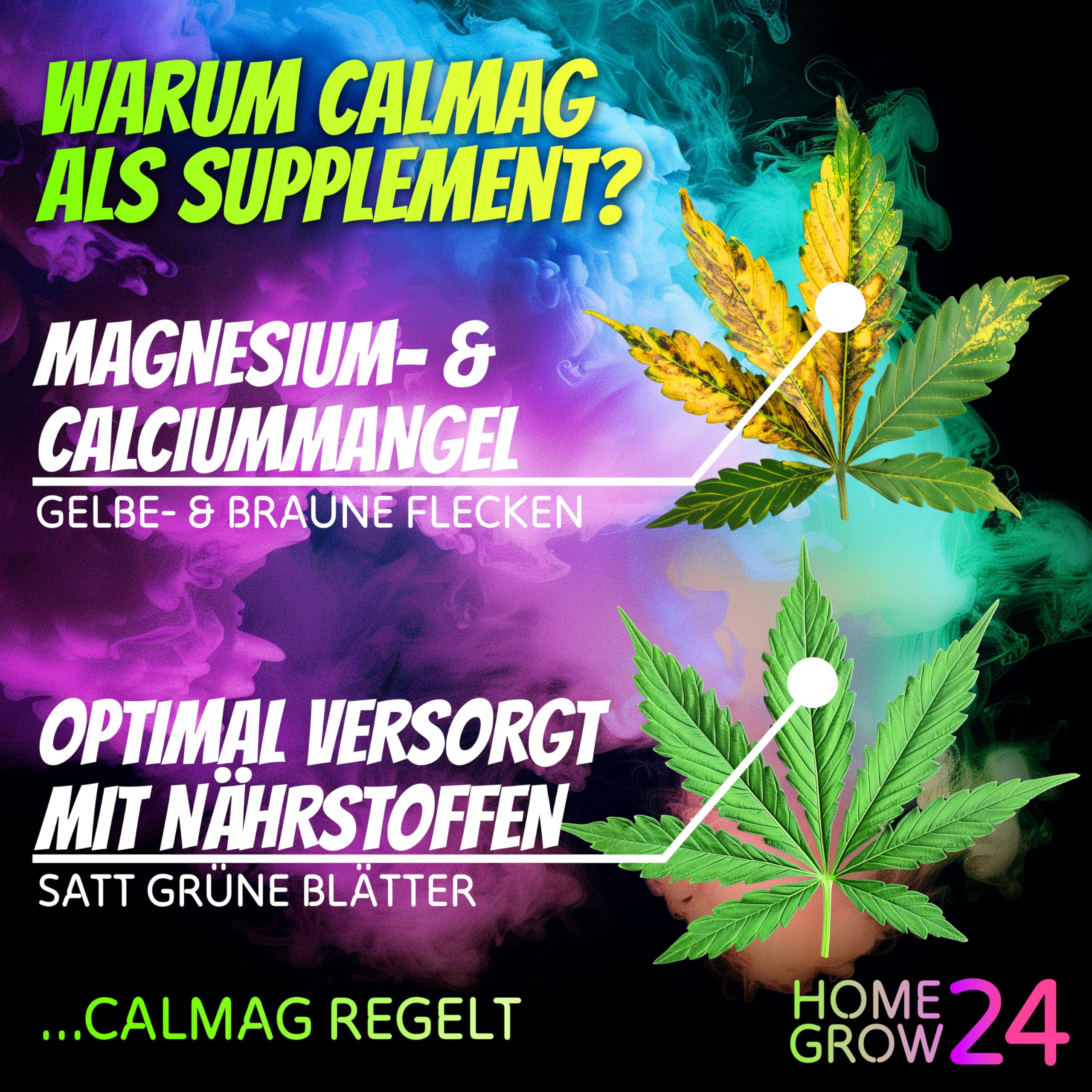 HOMEGROW24 Set di fertilizzanti per Cannabis Trio, per la Cura Completa delle Piante di Cannabis, Set da 3 da 500 ml ciascuno, per Un Raccolto Abbondante e Piante Sane