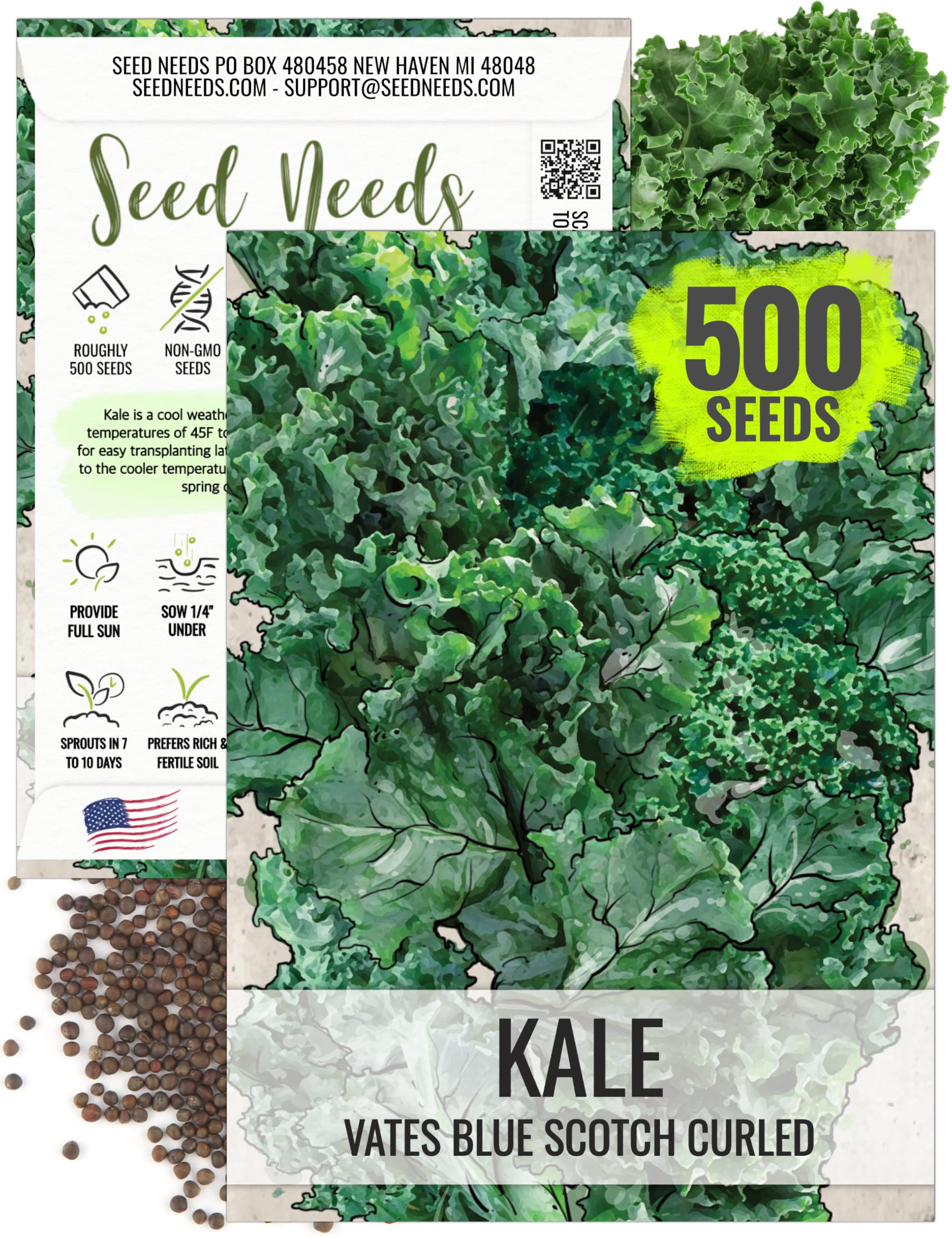 Seed Needs Kale Seeds for Planting Vates Blue Scotch Curled Kale Vegetables - Non-GMO Heirloom & Untreated Vegetable Seed to Plant an Outdoor Home Grown Veggie Garden (1 Pack)