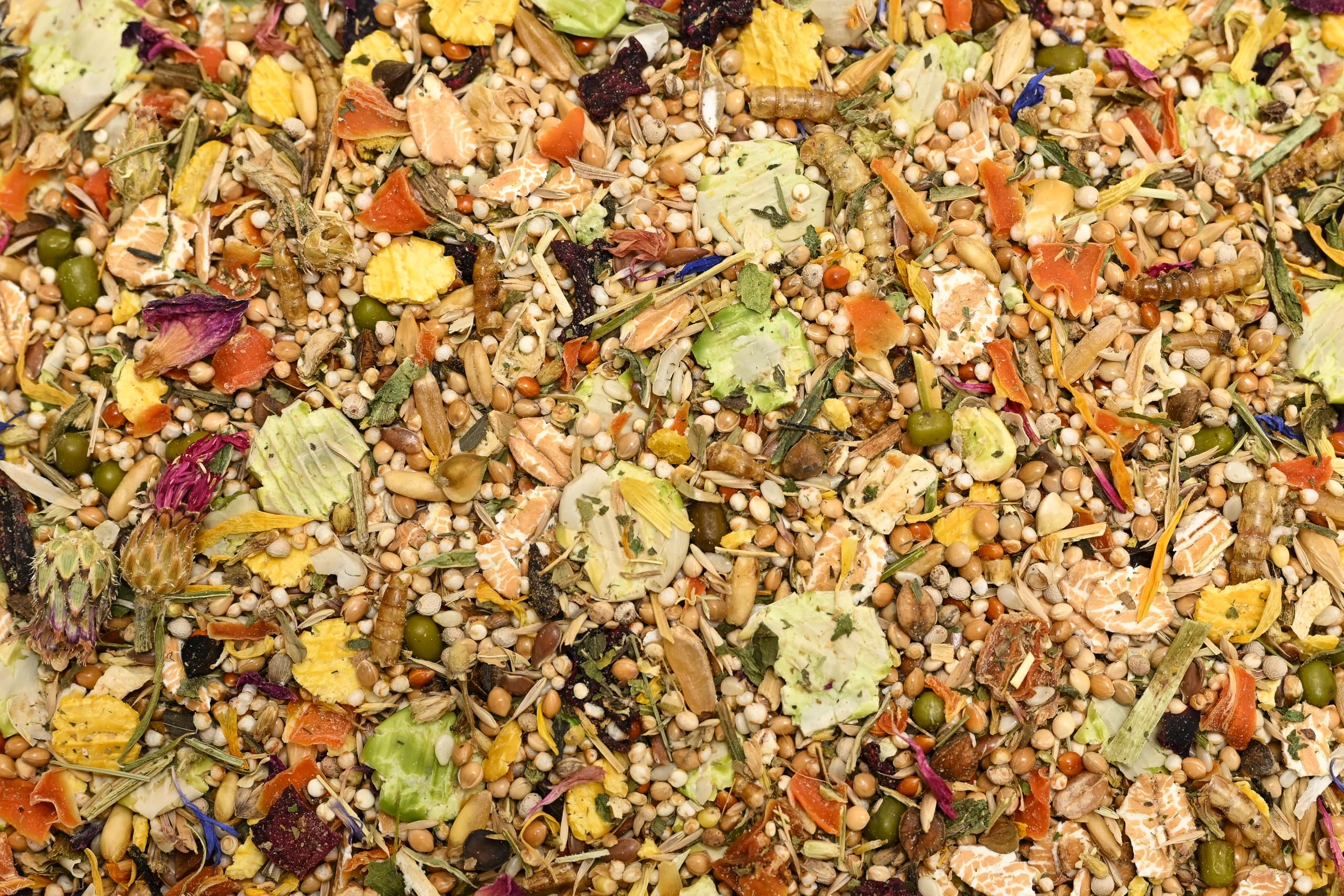 Bunny Nature Dwarfhamster Dream Expert Flower – Piatto naturale superfood con miscela di fiori, cereali, verdure e vermi – Nutrizione equilibrata