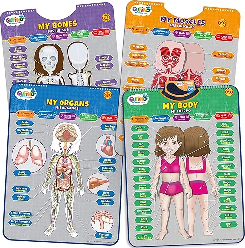 Miniatura 24 de Gufino Tabla de pared del alfabeto - Juguetes bilingües con botones táctiles interactivos para aprendizaje independiente y guiado - Ideal