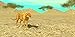 Wild Cheetah Sim 3D