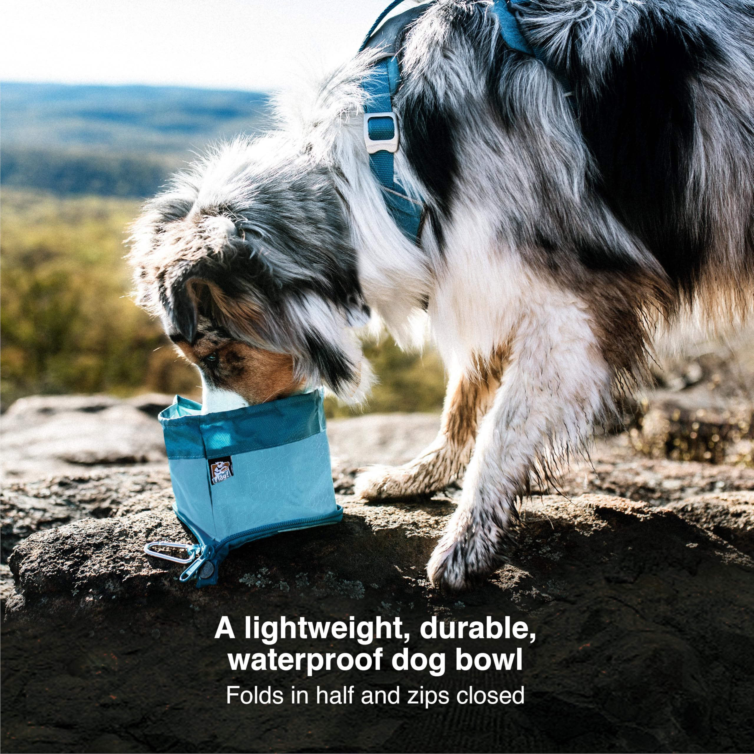 Kurgo Zippy Bowl, składana miska podróżna dla psa na jedzenie i wodę z karabińczykiem, nie zawiera BPA, mieści 1,4 l, niebieska (Coastal Blue)