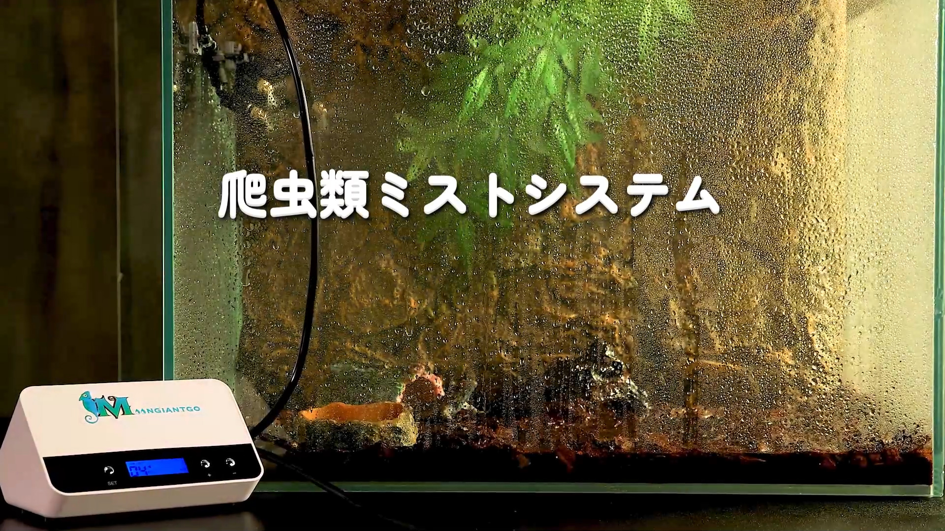 Amazon.co.jp: Moongiantgo 爬虫類加湿器 タイマー付き ミス