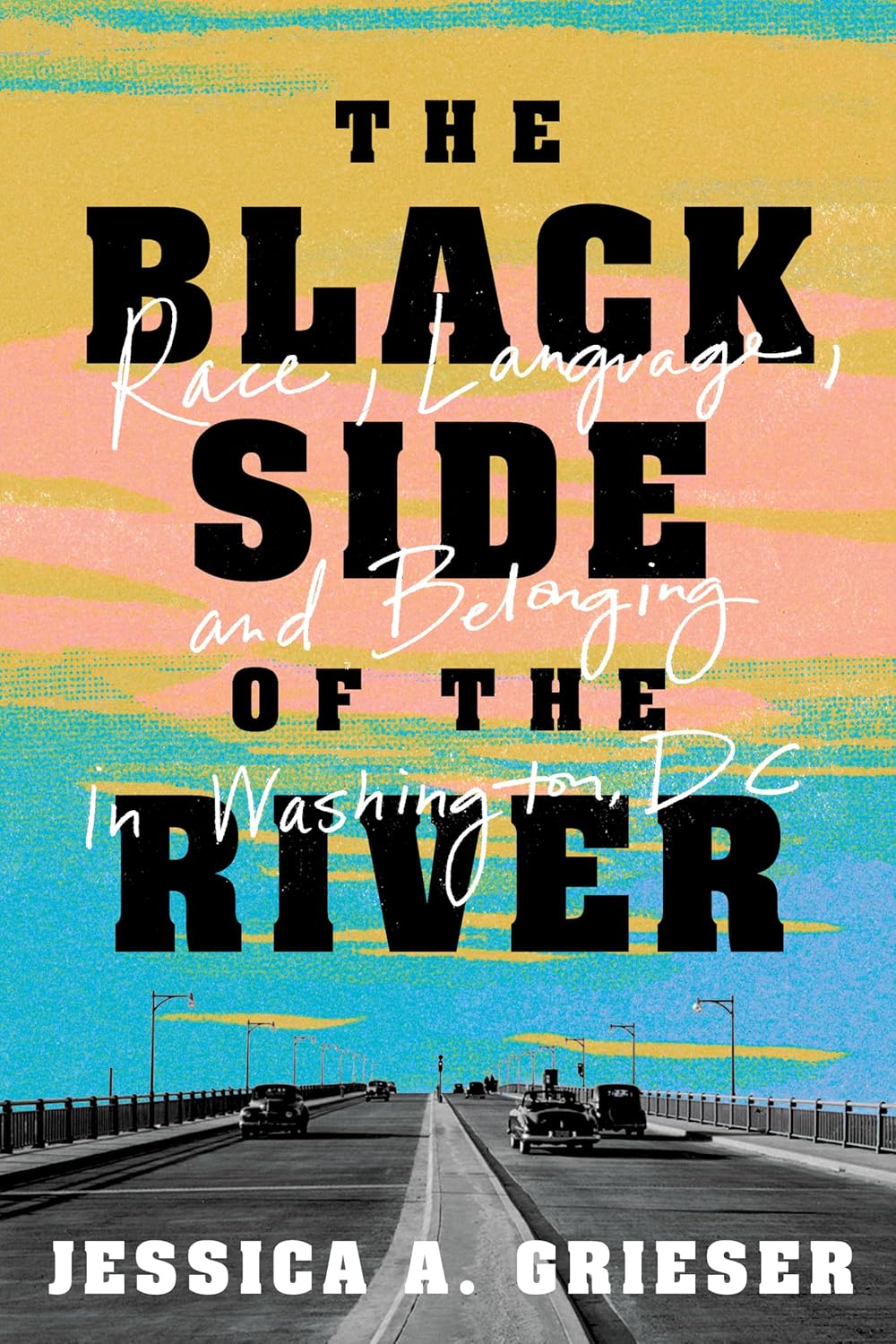The Black Side of the River: Race, Language, and Belonging in Washington, DC      1st Edition