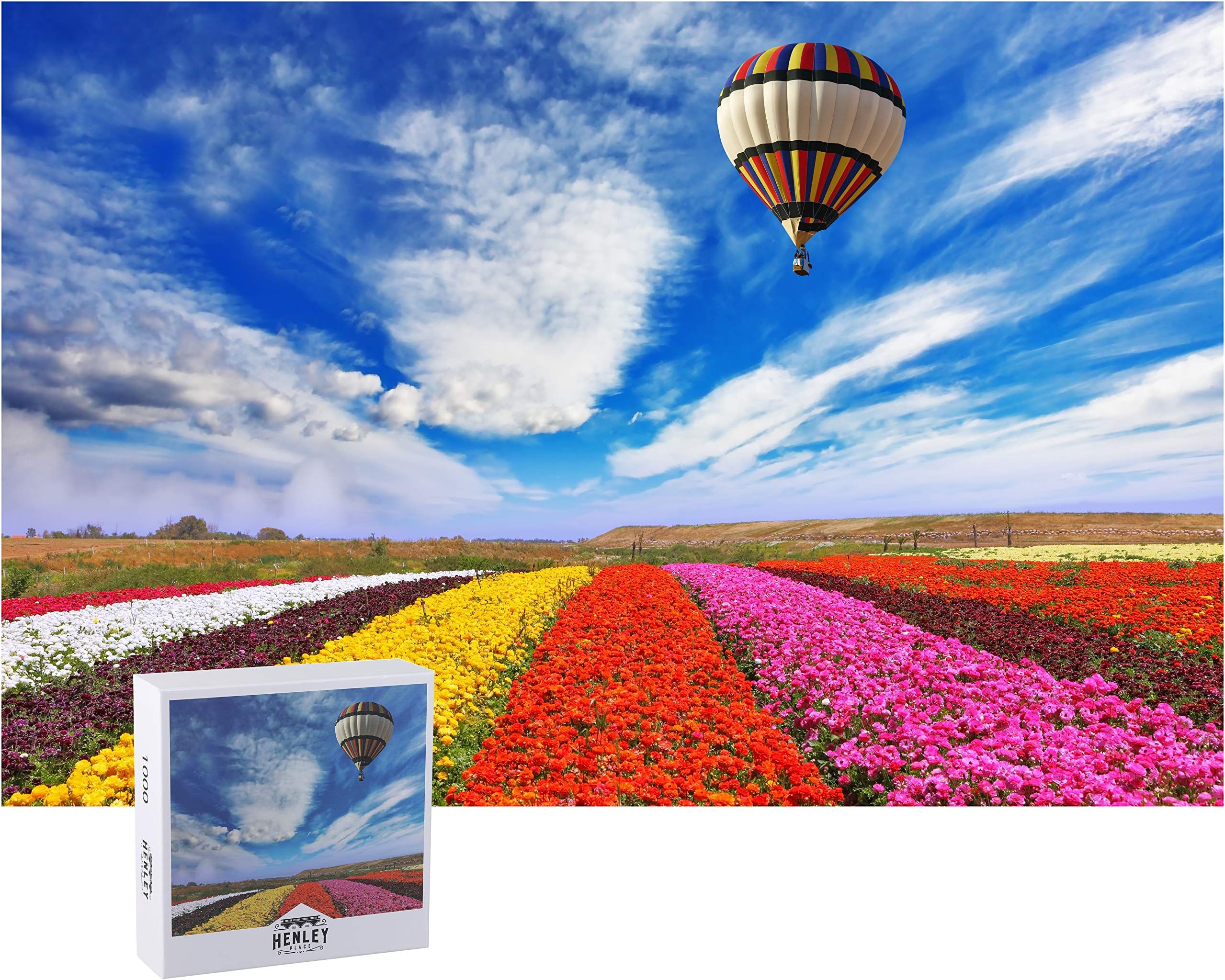 Hot Air Balloon Puzzle