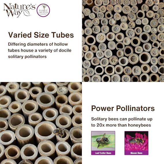 Nature's Way Wooden Bee House for Outdoor Decor, Beneficial Insects and Pollinators, Mason Bee, Leafcutter Bee, White