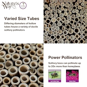 Nature's Way Wooden Bee House for Outdoor Decor, Beneficial Insects and Pollinators, Mason Bee, Leafcutter Bee, White