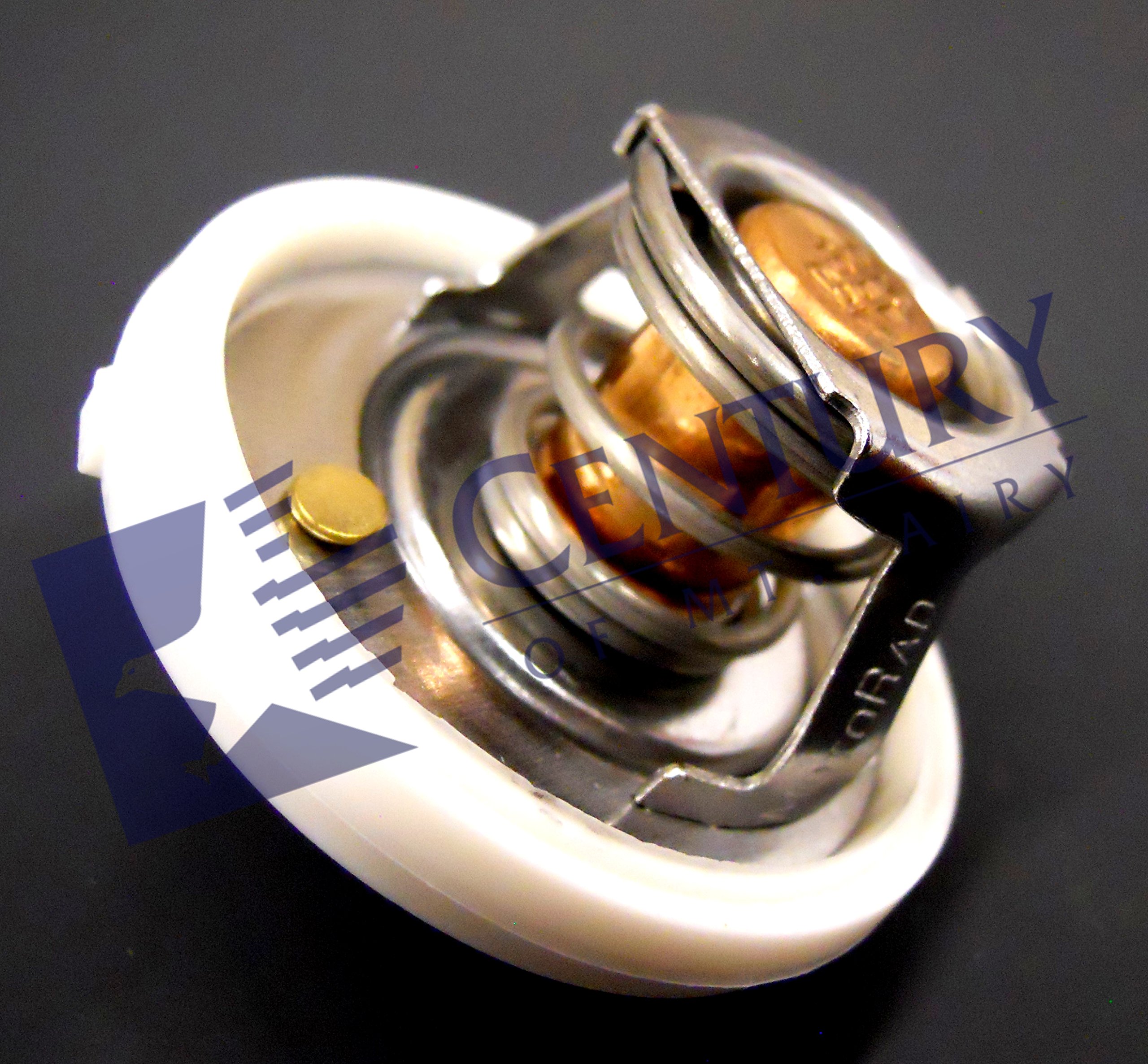 Amazon.com: Mopar 4666140AA Thermostat : Automotive