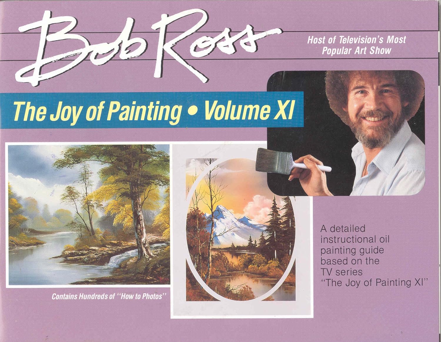 Amazon.co.jp BOB ROSS INC. R011 ボブ・ロス ボブの絵画教室 11巻 ホビー