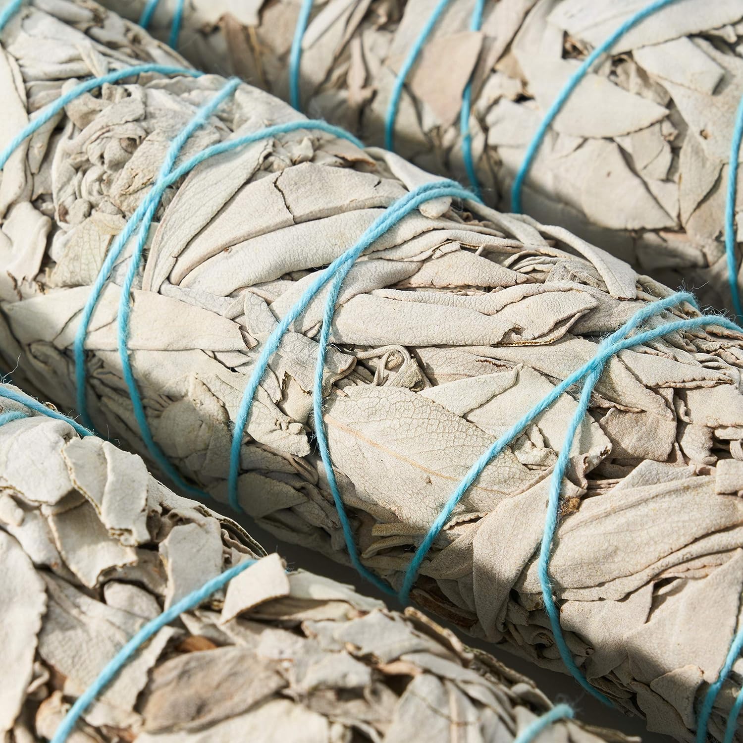 9-Inch White Sage Smudge Sticks ~ Sustainably Harvested ~ for Smudging & Cleansing ~ Instructions Included (6 Pack) - Image 4
