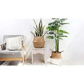 BlueMake Woven Seagrass Belly Basket for Storage Plant Pot Basket and Laundry, Picnic and Grocery Basket (Medium… 91eEZtv0BCL