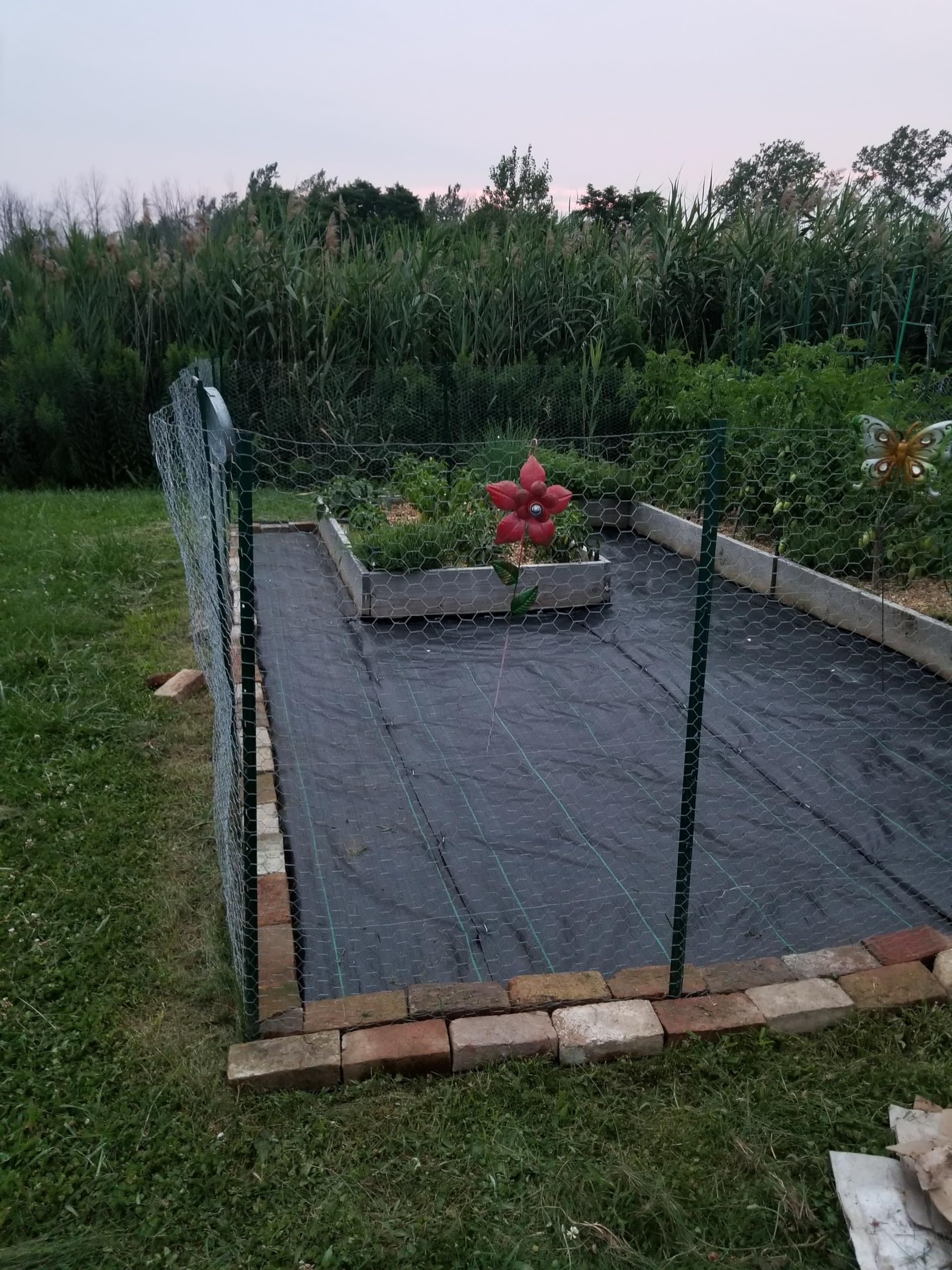 PWS 100 m² Reißfeste Unkrautfolie inkl. 20x Erdanker 100 g/m² | Wasserdurchlässig | Pflanzenvlies gegen Unkraut, Gartenvlies, Unkrautgewebe, Gartenfolie zur Unkrautbekämpfung | UV-stabil (50m x 2m)
