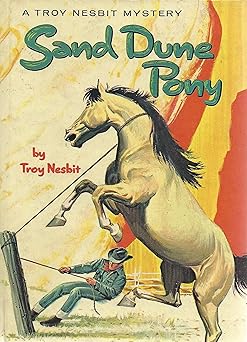 Sand Dune Pony book cover