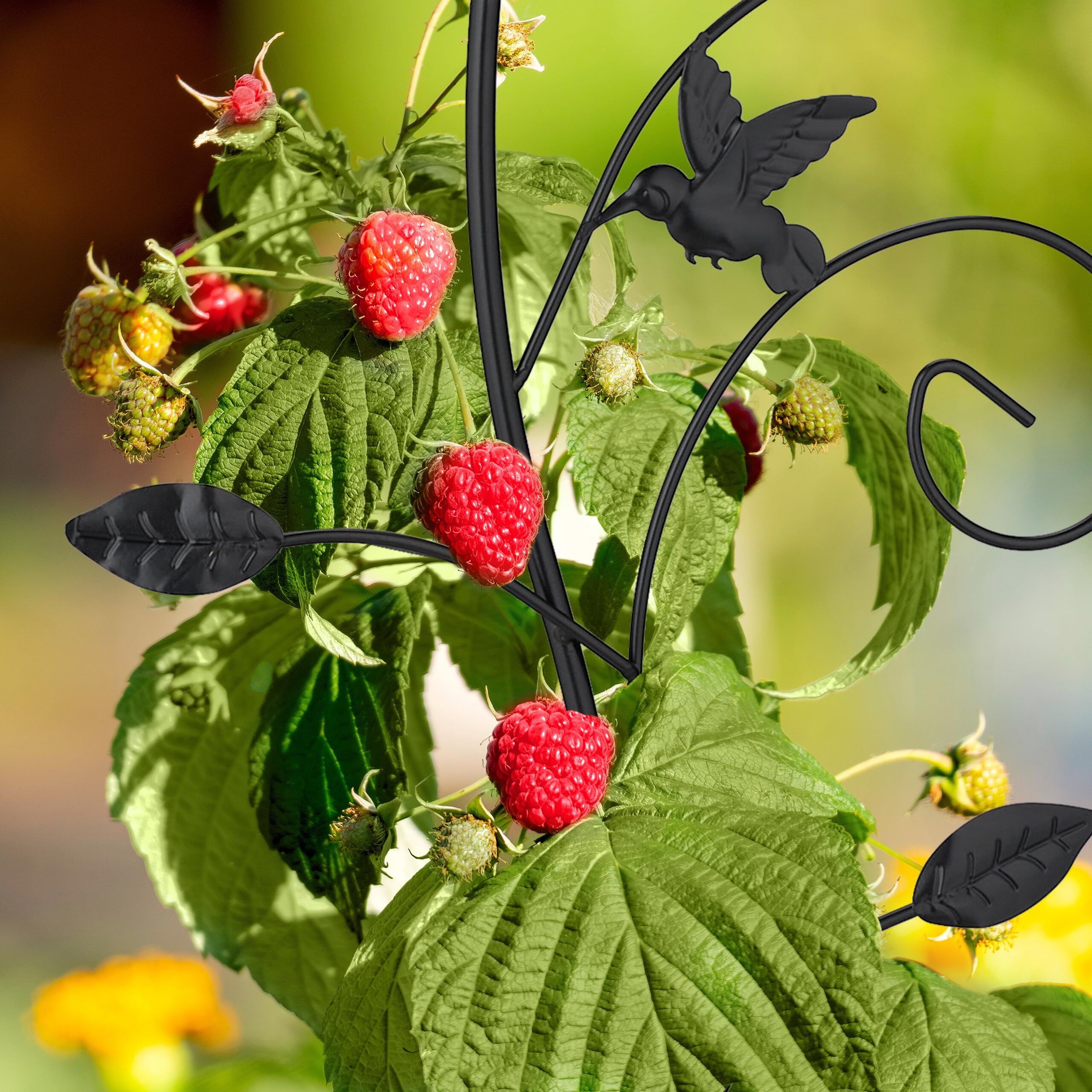 Relaxdays Supporto per Piante Rampicanti da Giardino, 2 pz. Tralicci di Sostegno per Edera, 110x34x1 cm, Metallo, Nero