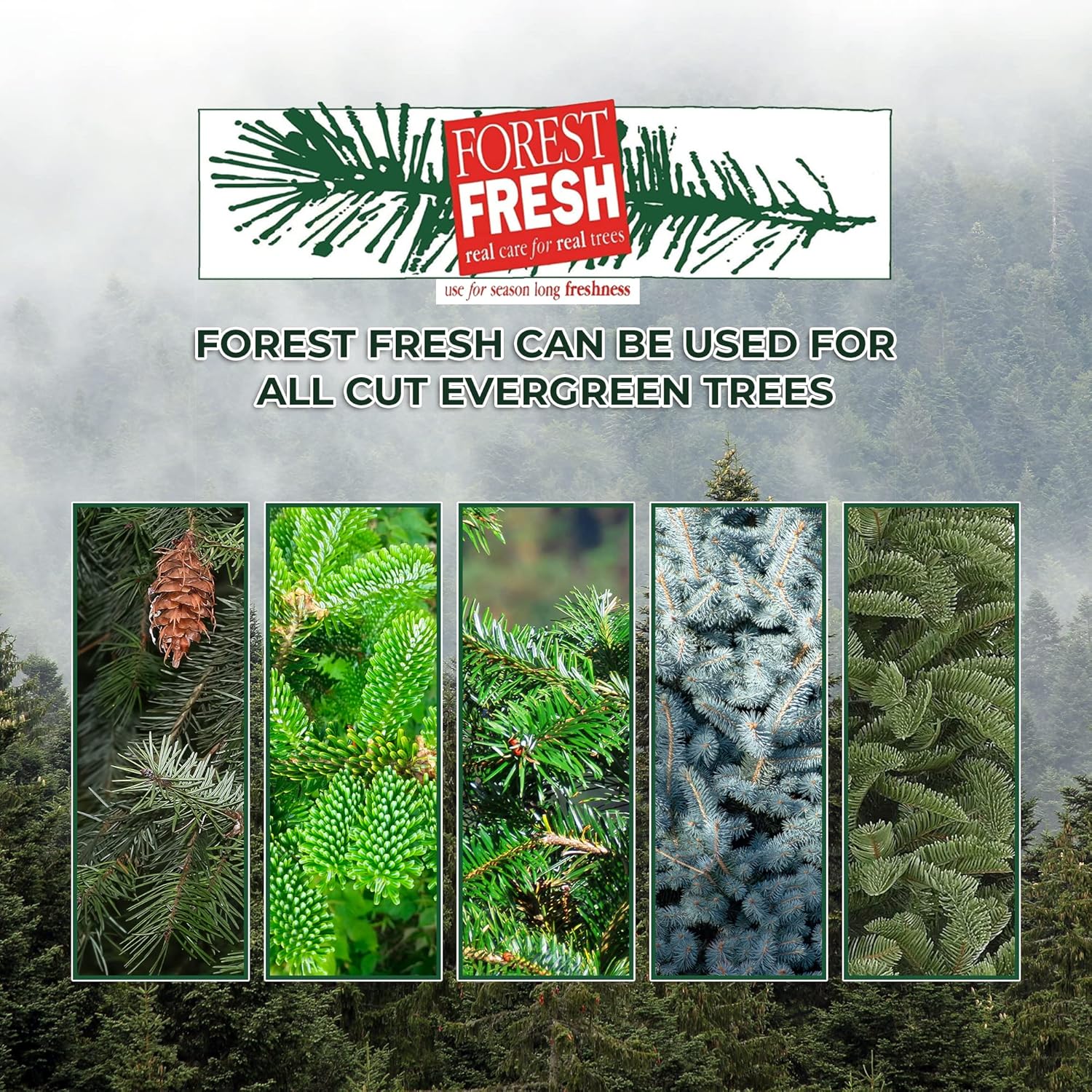 Forest Fresh Christmas Tree Preservative Tablets – Tree Water Additive for Live Fresh-Cut Trees – Retail Display Case for Tree Farms – Non-Toxic, Made in USA – 24 Pack (8 Tablets per Pack)