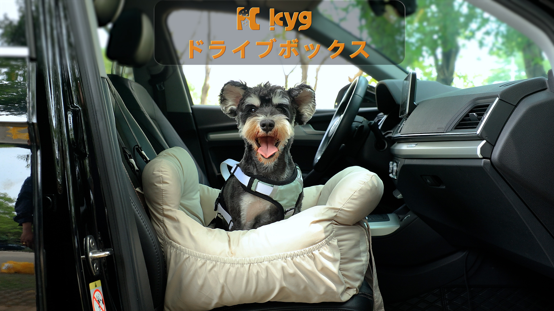 Amazon.co.jp: KYG ドライブベッド 犬用 ドライブボックス ペット