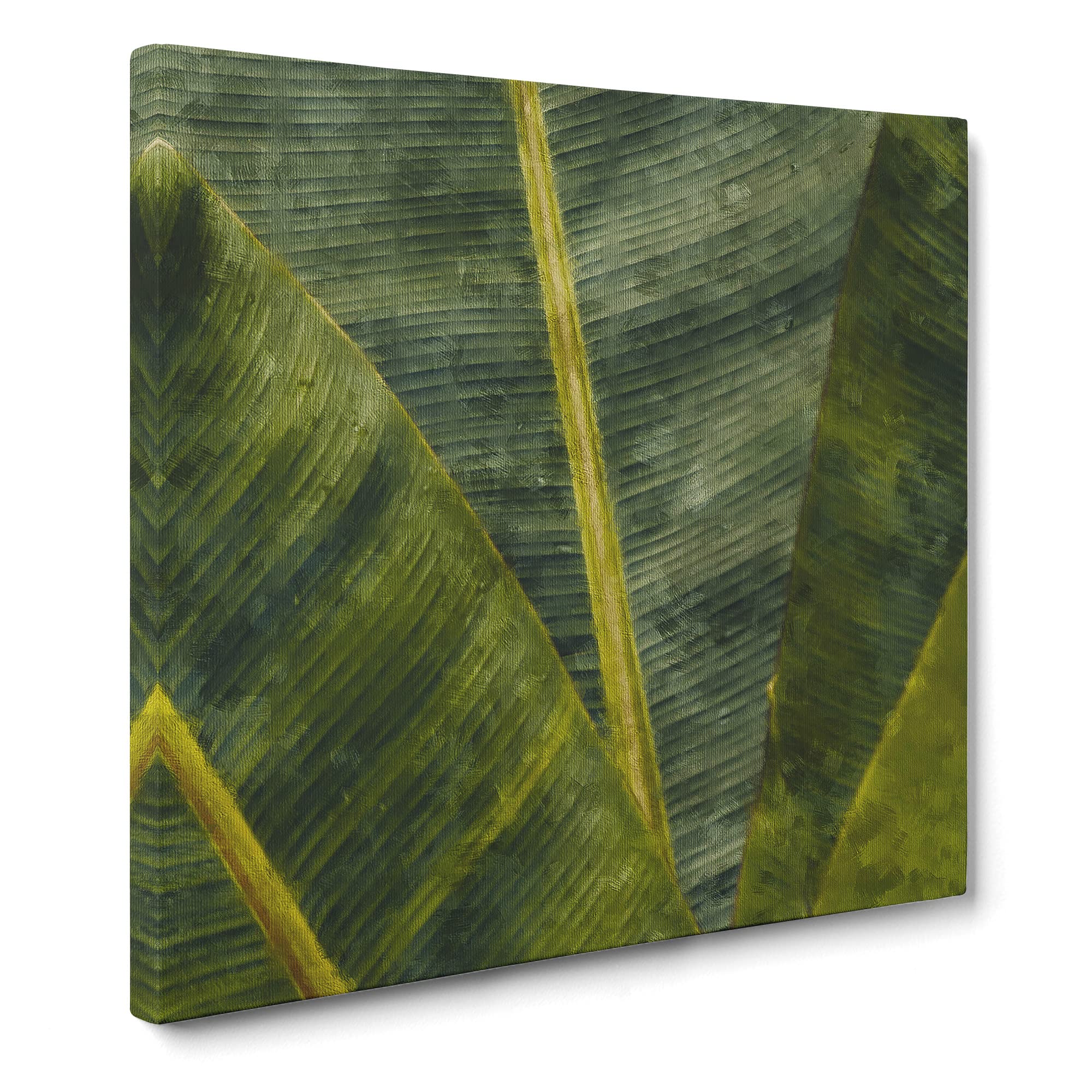 Fronds Of A Palm Tree Canvas Print, Mixed, 35L x 35W cm