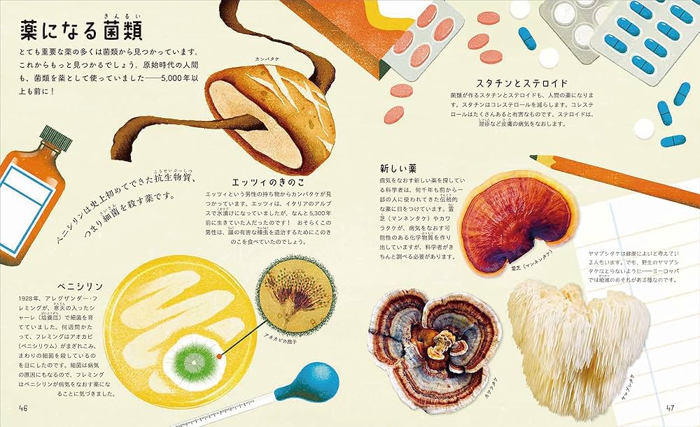 日本菌学会編『菌類の事典』