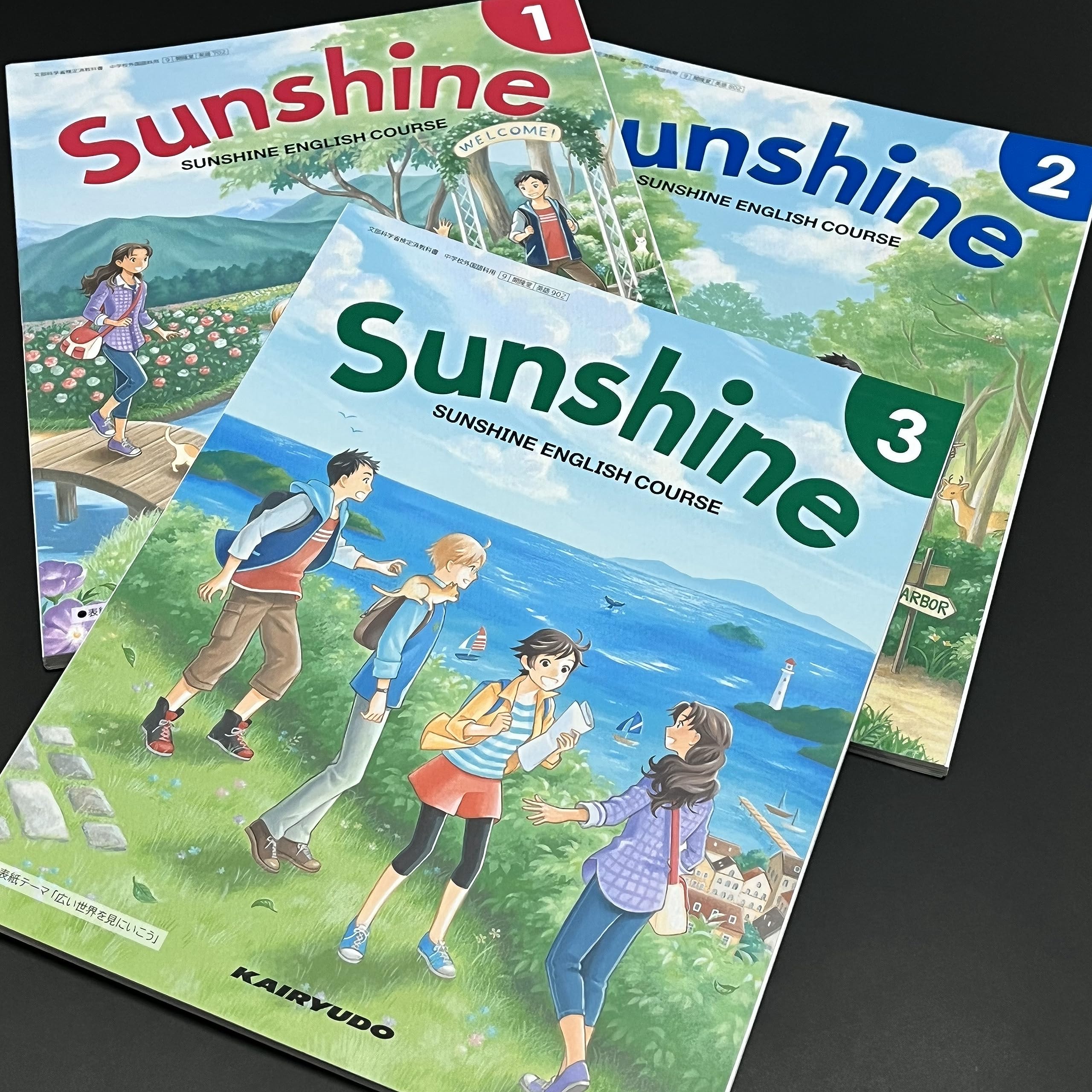 【airbalac25さん専用】英語学習参考書セット 3冊×3シリーズ airbalac25さん専用】英語学習参考書セット 3冊×3シリーズ
