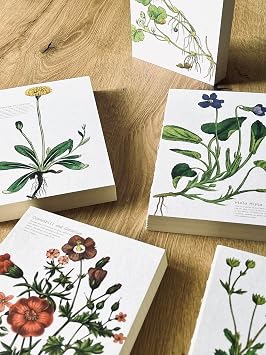 Difference Introduction A5 Striped Notepad with Special Design Printed Cover - 180 Degree Openable, Back Stitched, 100% Handcrafted, Ideal for Office, Planner (Viola Hirta Cover Design)
