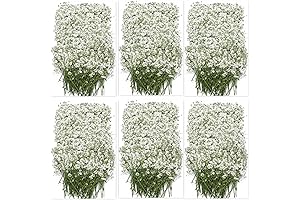YouthBro Baby Breath: Bulk Ivory White Gypsophila for DIY Decor